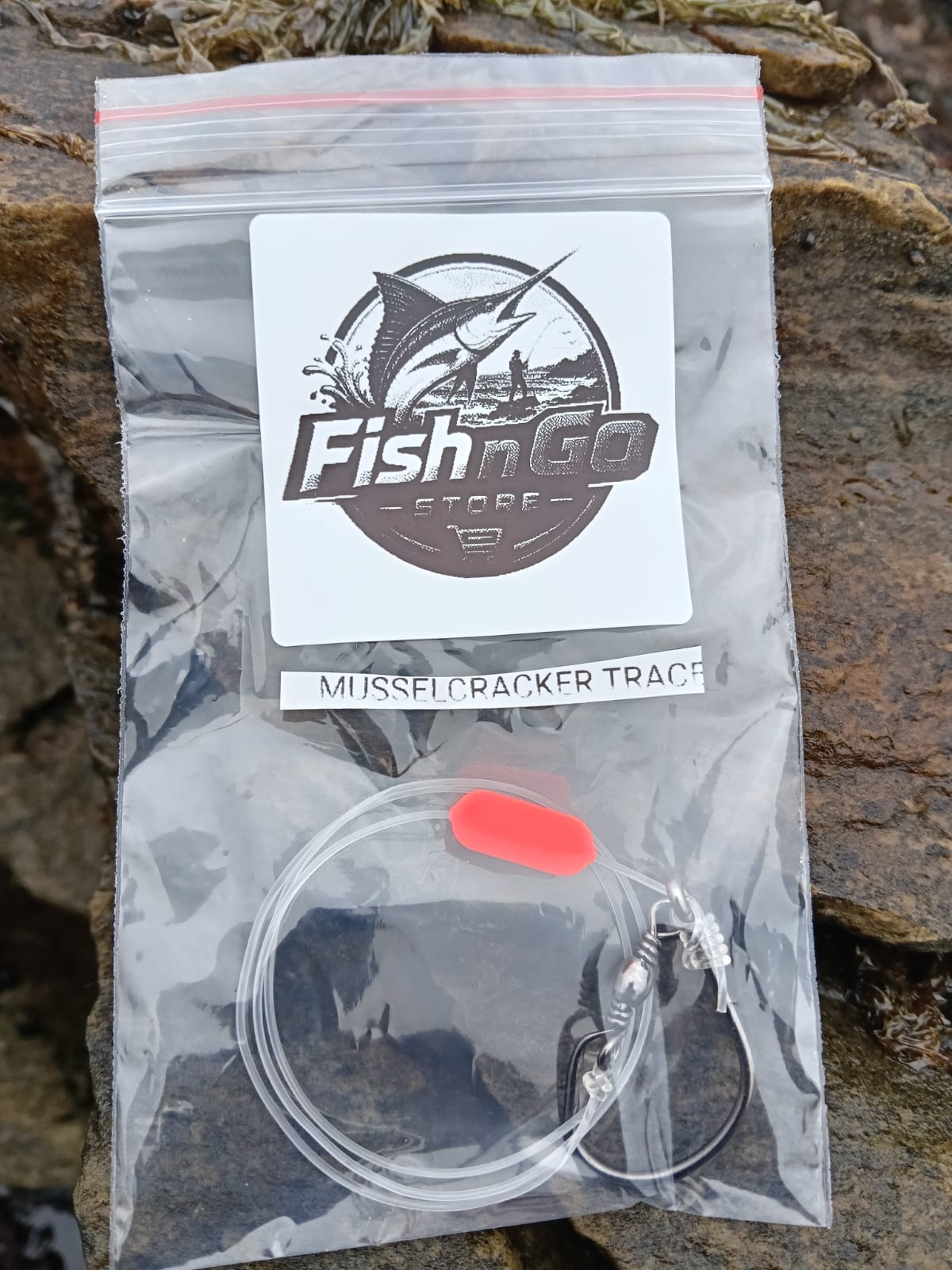 Musselcracker Trace
