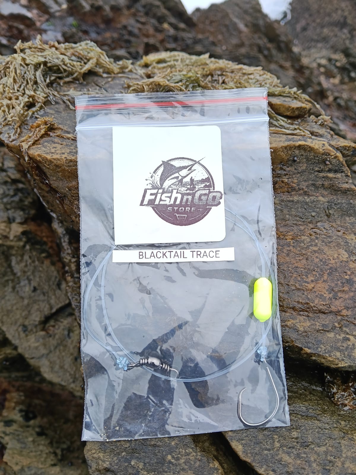 Blacktail Trace