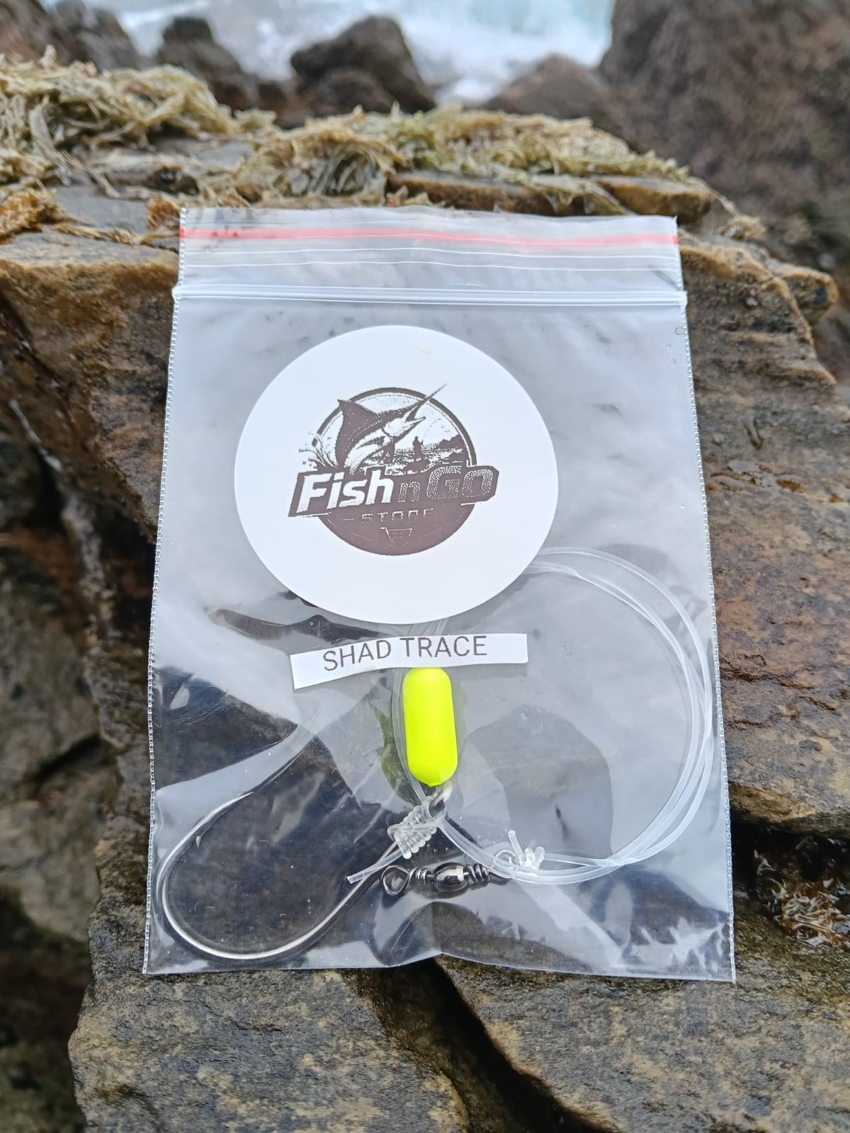 Shad Trace